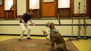 love-and-mercy-dogs-620x350