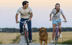 a-dogs-purpose-hollywood-daily-b-672x372